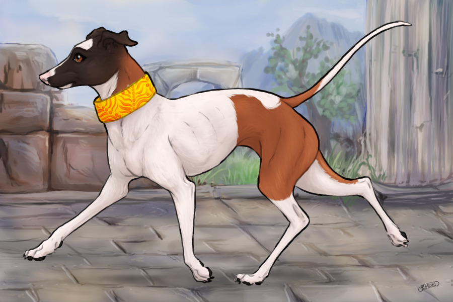 Pompeii Greyhounds #00068