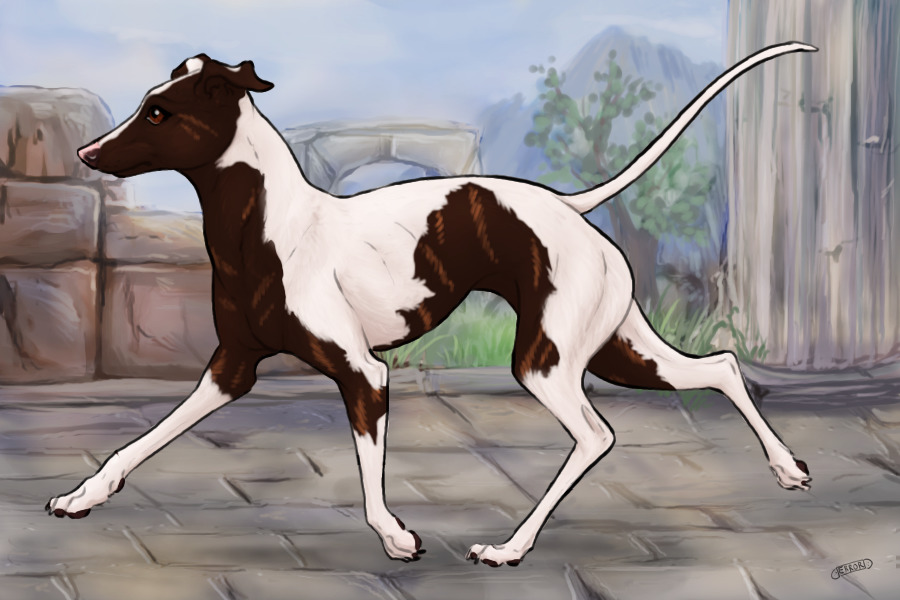 Pompeii Greyhounds #00072