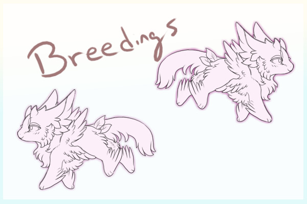 Angelus breedings - Open