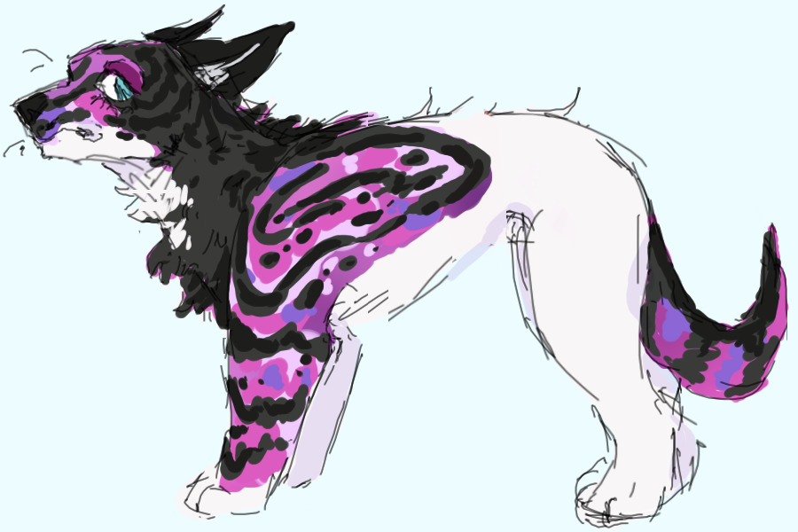 frog dog