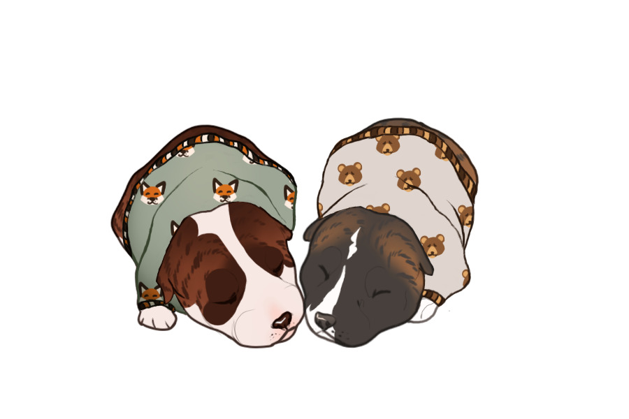 Beaumont Collie Litter #1320