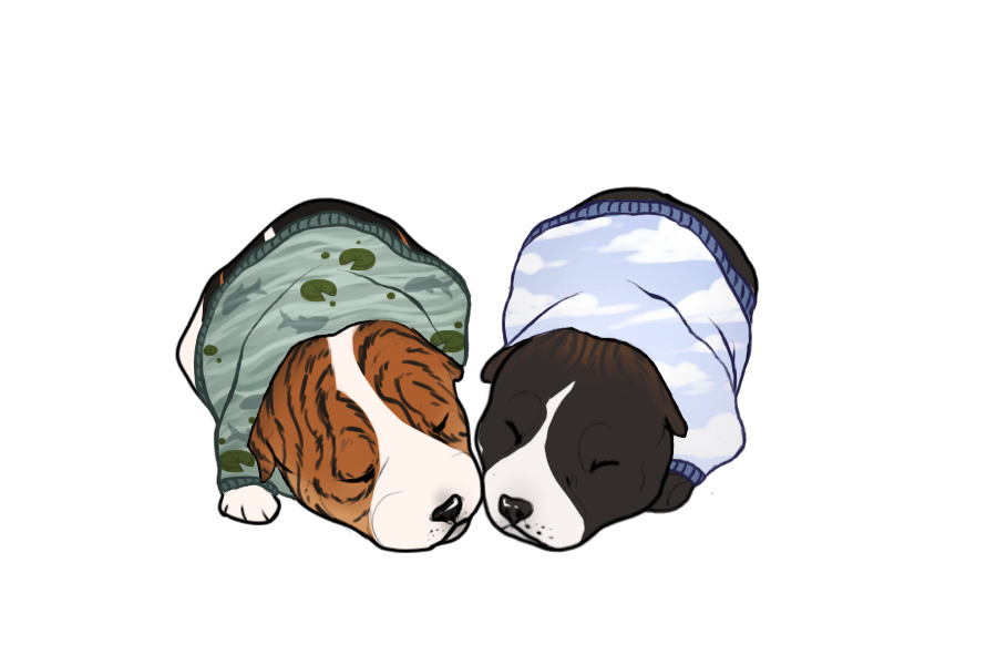 Beaumont Collie Litter #1324