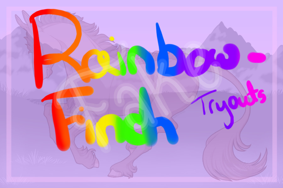 Rainbowfinch Tryouts