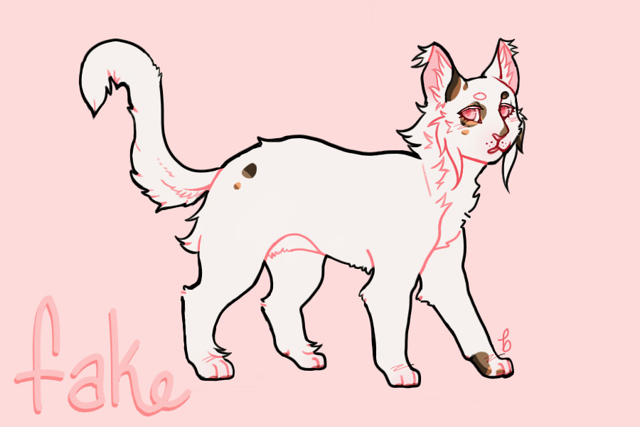 stars artist entry 13!