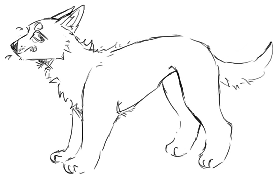 idk dog lines