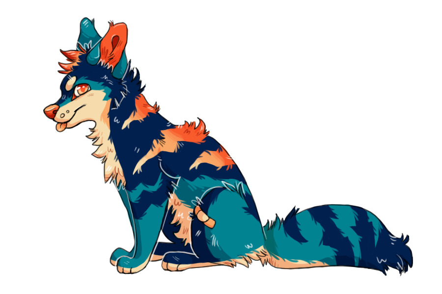 bandaid pup