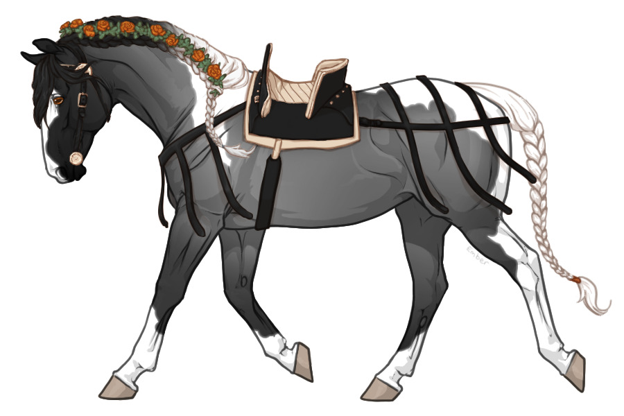 Range Trotter #RF018