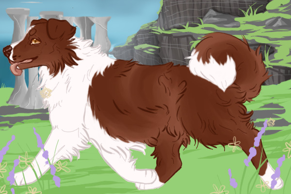 Updated Markings IS 099