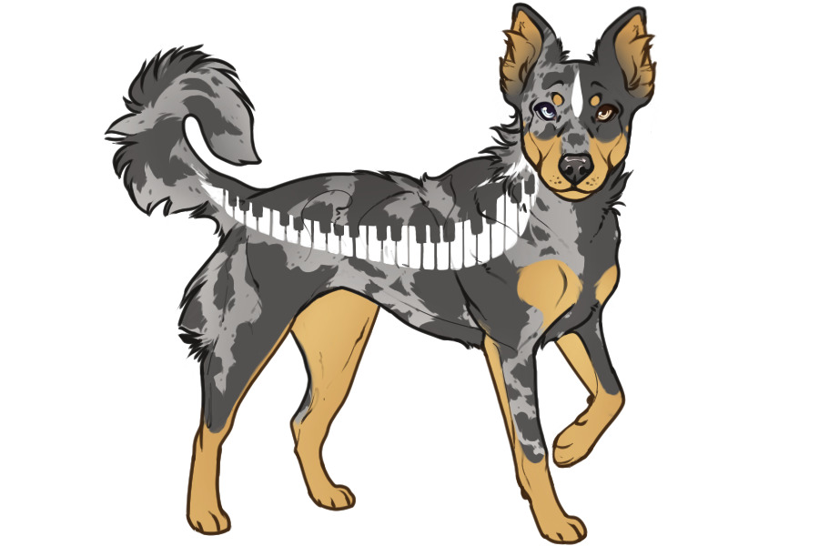 Beaumont Collie Custom #2302