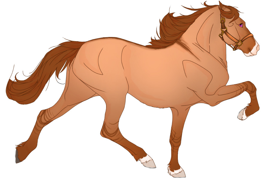 TITA | #0185 - Apricot Dun