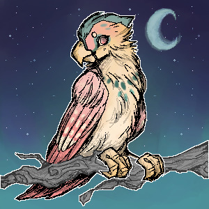 Feather Finder - Day 1