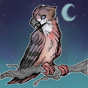 Bird :)
