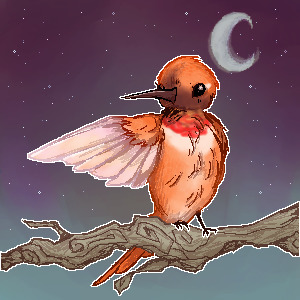 Feather Finder - Day 2