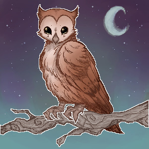 Feather Finder - Day 5