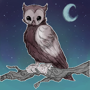 A quiet owl