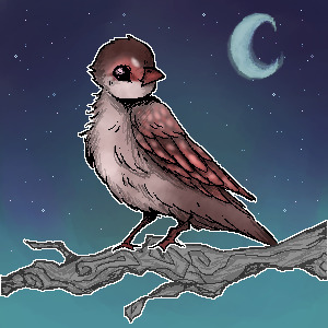 Feather Finder - Day 6