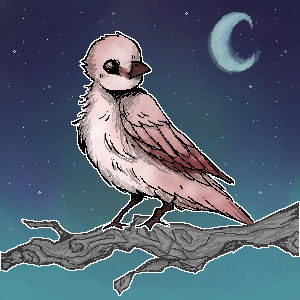 Feather Finder - Day 8