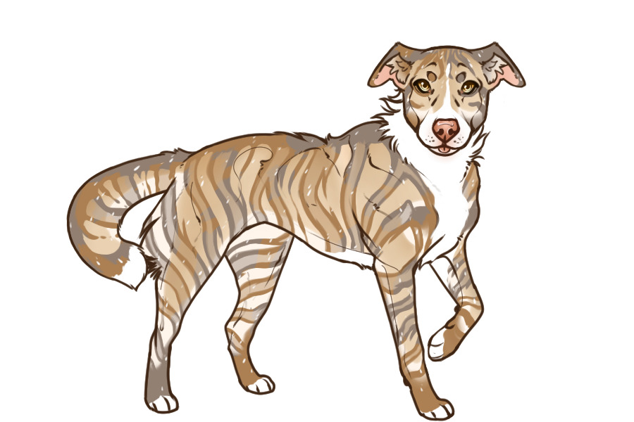 Beaumont Collie Custom #2395