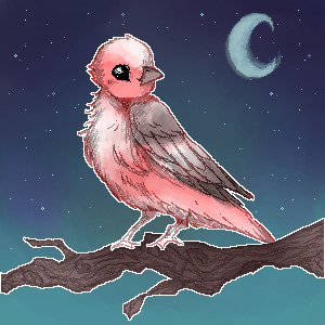 Pink-browed rose finch