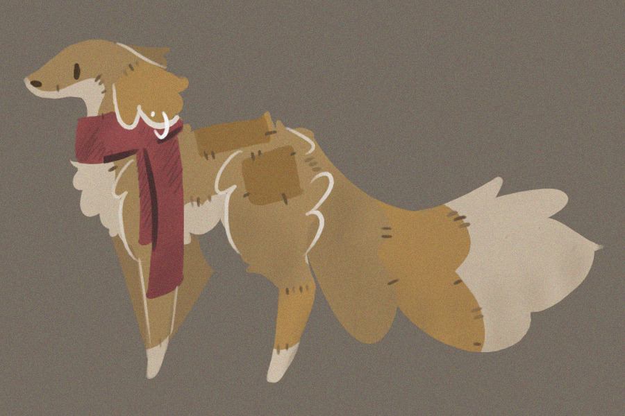 for Nokomis_Nitir