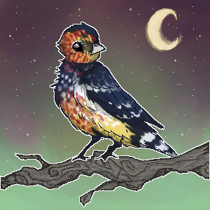Day 8 birb