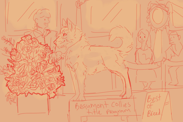 Collietober day 8 conformation champ