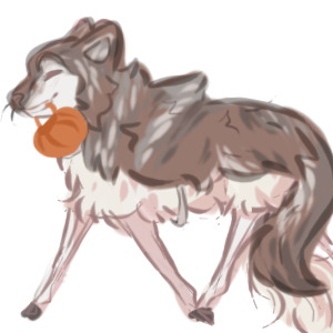 Wulf Costume entry