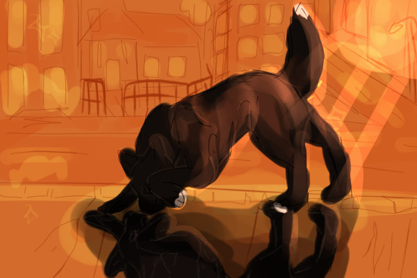Collietober day 3 shadows