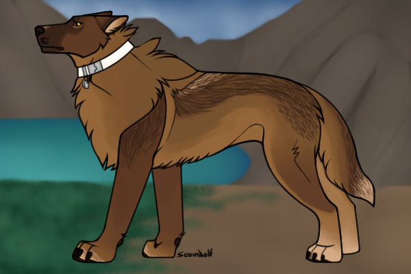 NQD | Andean Wolf | Ardent