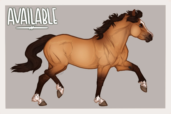 Ferox Welsh Pony #029
