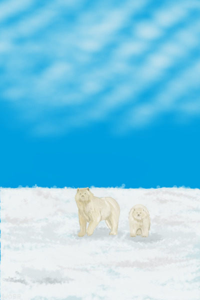 Polar Bears in the Snow