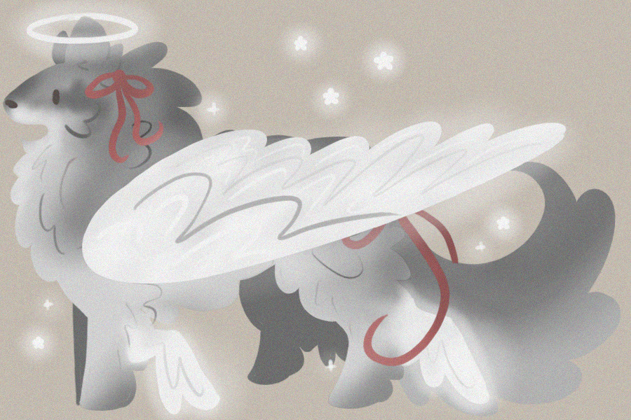for CheeseDragon
