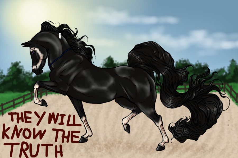 #00099 Black With Badger Dace And Stockings