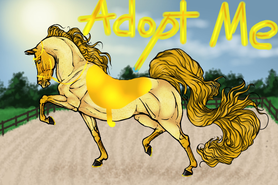 #00100 Dappled Palomino Roan