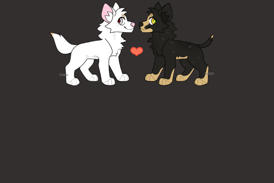 Albino wolf X Carlos