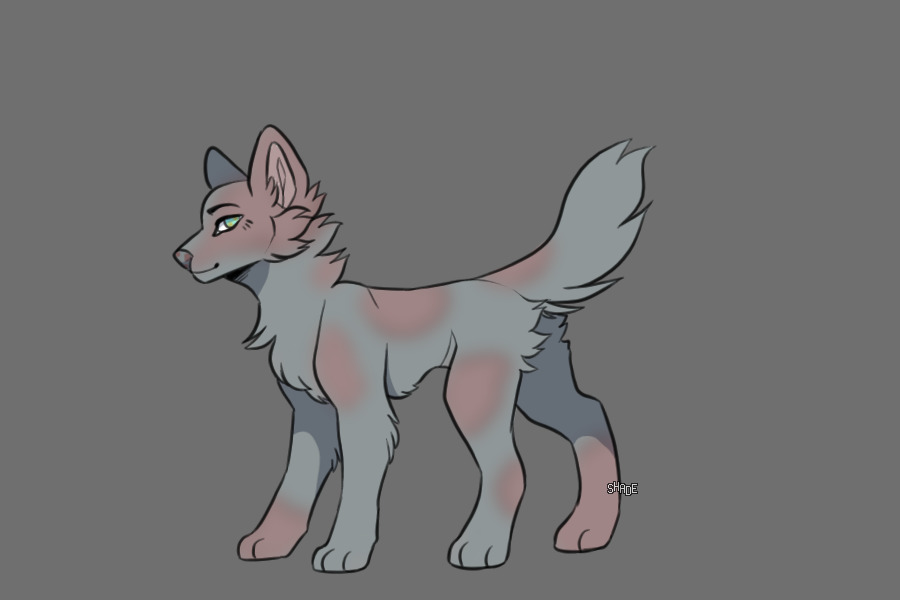 Blue and Lilac Canine