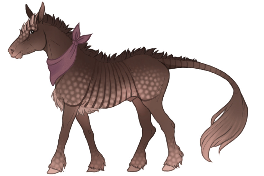 WME 1501: Nine-banded Armadillo