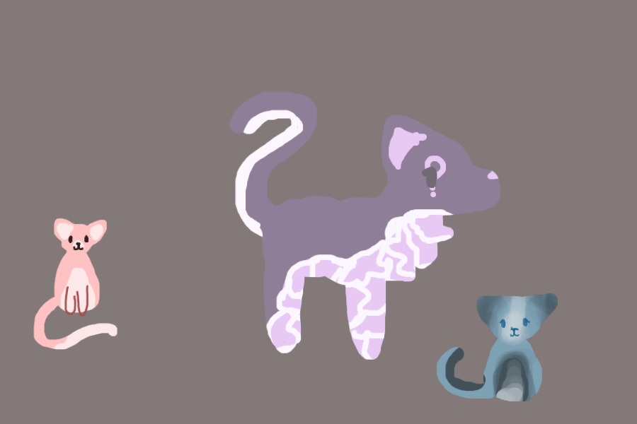 Pwyw adopts