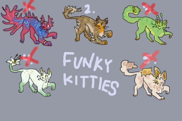 Funky Kitty Adoptables