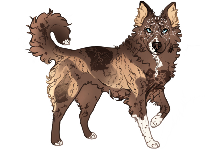 Beaumont Collie Custom #2347