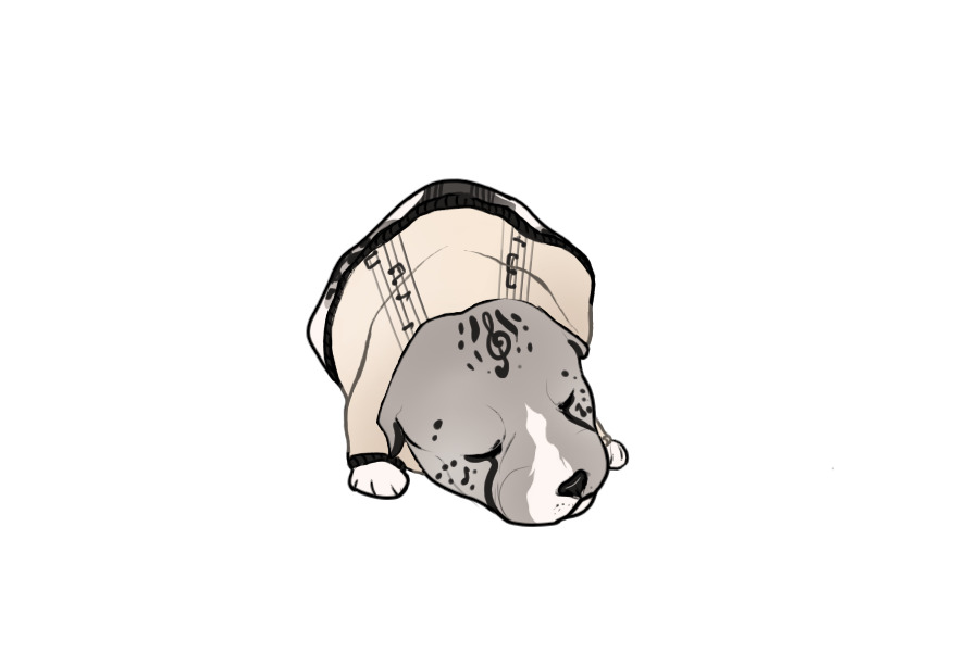 Beaumont Collie Litter #1345