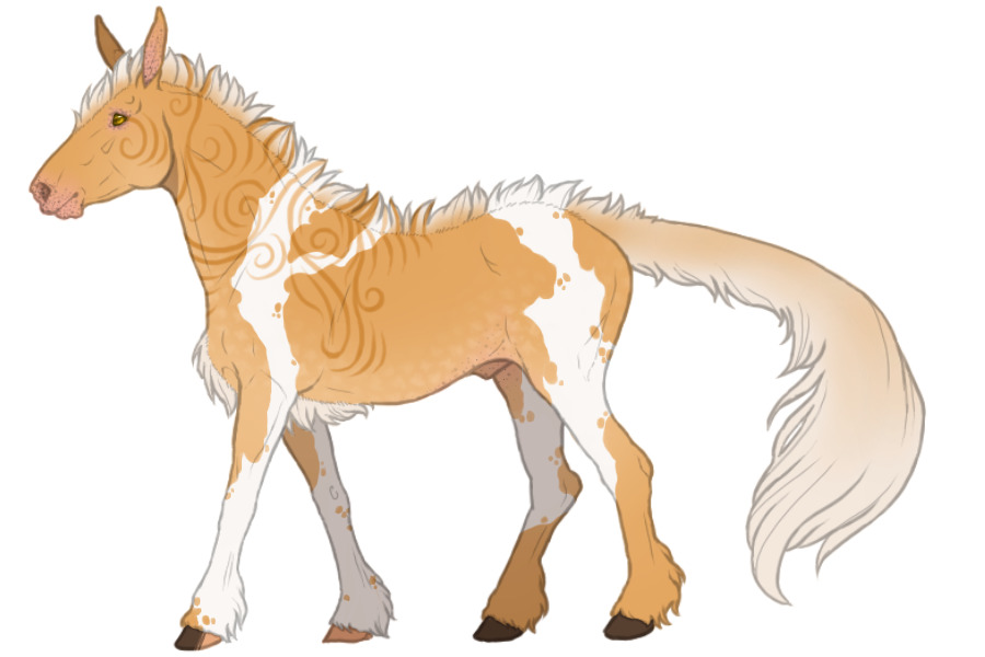 WME 1529: Semi-Custom for Astraela