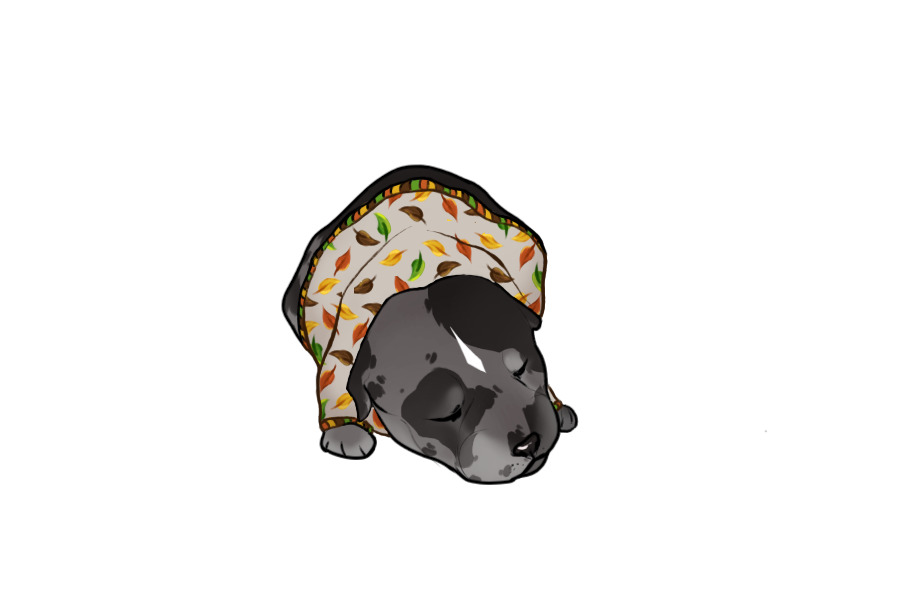 Beaumont Collie Litter #1348