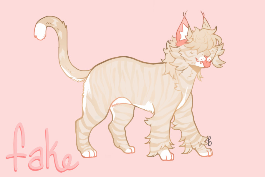 cat [jimmy] | Stars Entry 18