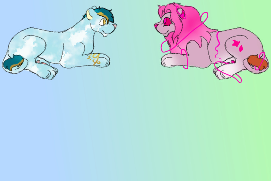 Safiri x Cotton Candy