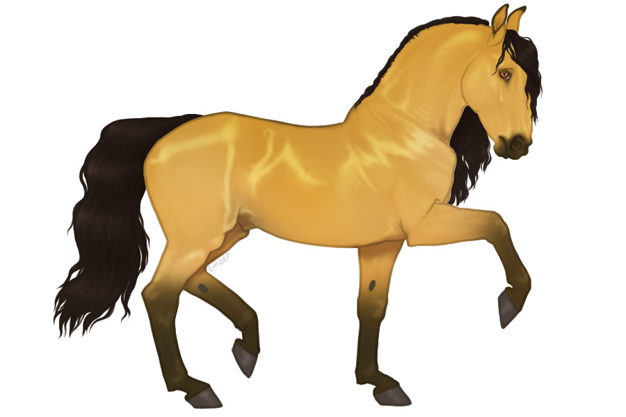 Roseto Capo Warmblood #921-Import(Loonamoth21)