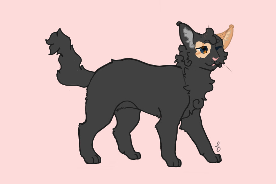 Stars Breeding #1044 | Baby x Eve | Kit 2 Growth