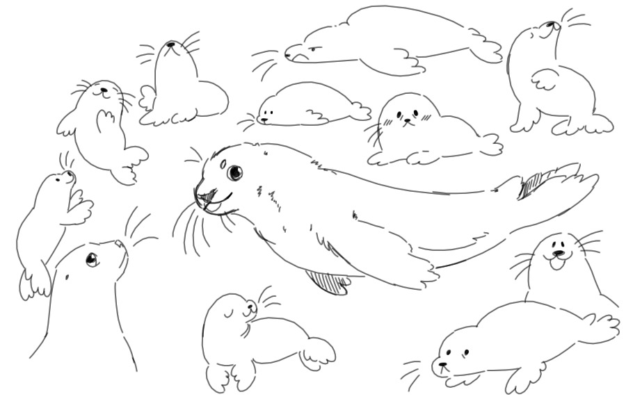 Pinnipeds