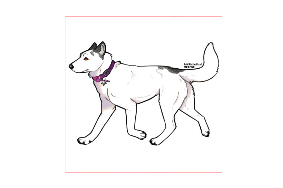 Do you like the person you’ve become