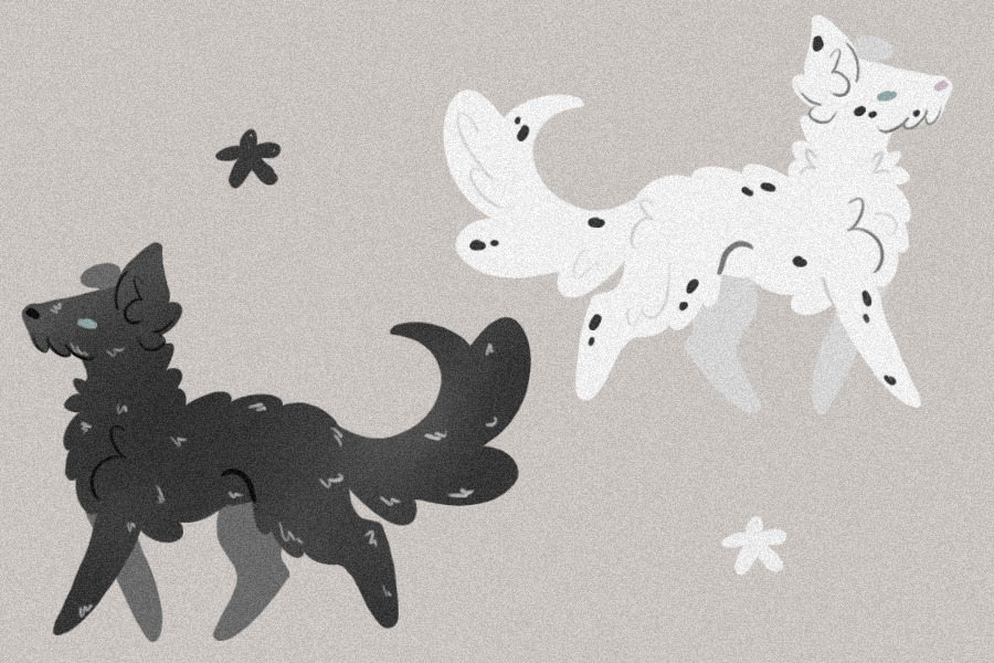 i don’t know why i bite